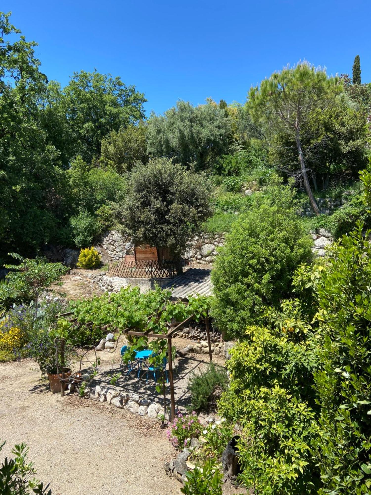 Hotel Les Belles Terrasses Tourrettes-sur-Loup Exteriér fotografie