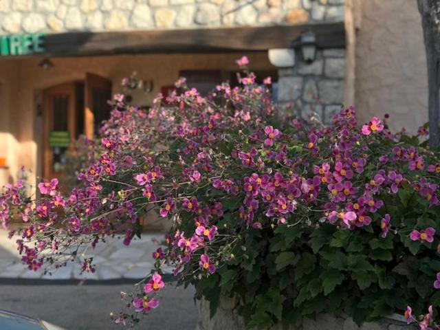 Hotel Les Belles Terrasses Tourrettes-sur-Loup Exteriér fotografie